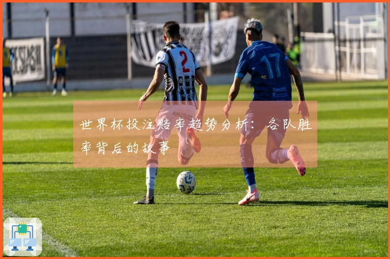 世界杯投注赔率趋势分析：各队胜率背后的故事
