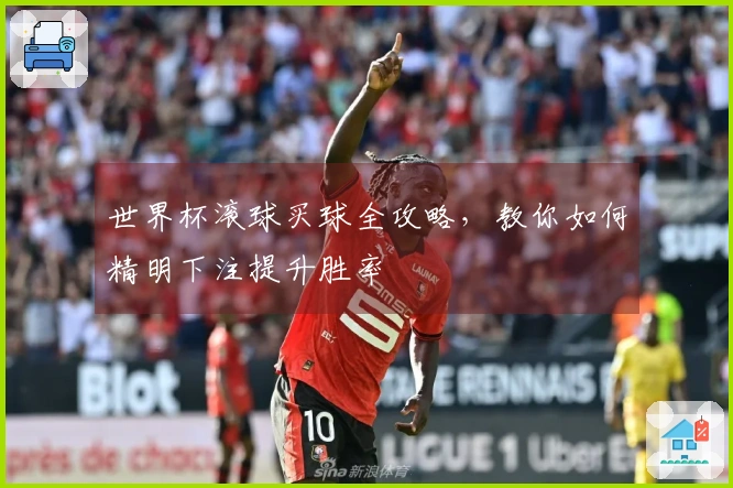 世界杯滚球买球全攻略，教你如何精明下注提升胜率
