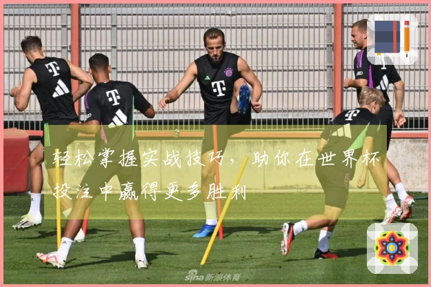 轻松掌握实战技巧，助你在世界杯投注中赢得更多胜利