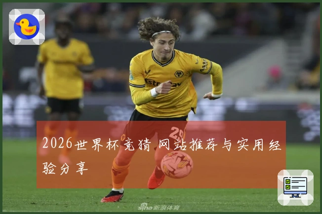 2026世界杯竞猜 网站推荐与实用经验分享