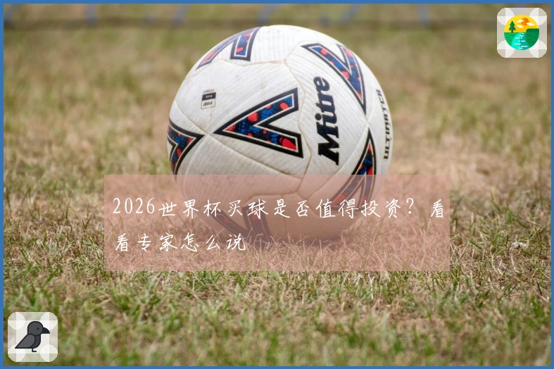 2026世界杯买球是否值得投资？看看专家怎么说
