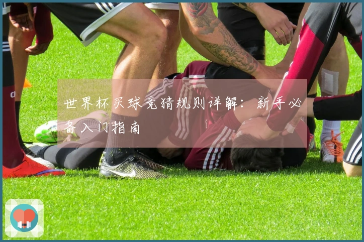 世界杯买球竞猜规则详解：新手必备入门指南
