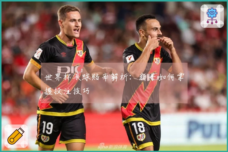 世界杯滚球赔率解析：新手如何掌握投注技巧