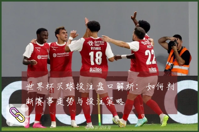 世界杯买球投注盘口解析：如何判断赛事走势与投注策略