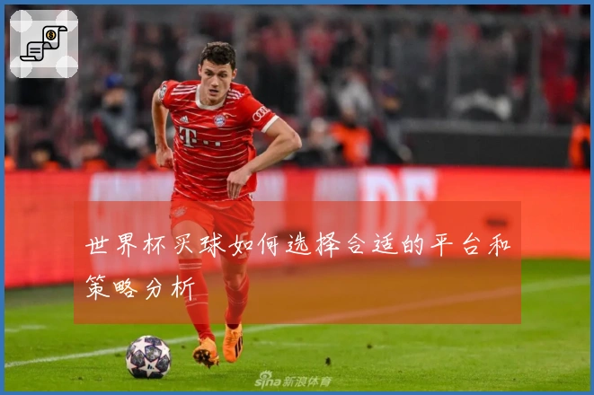世界杯买球如何选择合适的平台和策略分析