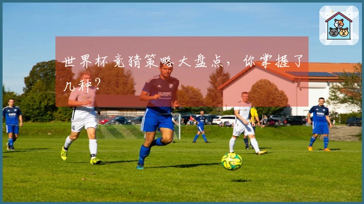 世界杯竞猜策略大盘点，你掌握了几种？