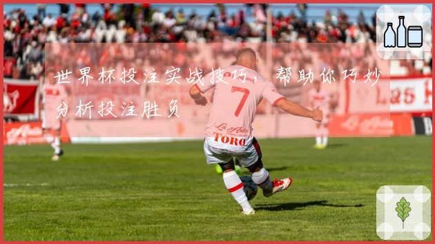 世界杯投注实战技巧，帮助你巧妙分析投注胜负